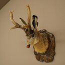 Hasenwolpi Liebre macho con silbato Cuernos de ciervo Liebre macho Wolpertinger Wolpi Preparado sobre placa trofeo tallada