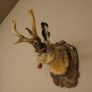 Hasenwolpi Liebre macho con silbato Cuernos de ciervo Liebre macho Wolpertinger Wolpi Preparado sobre placa trofeo tallada