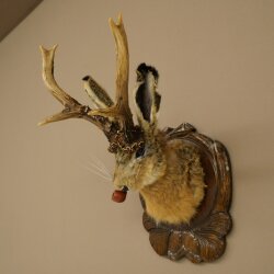 Hasenwolpi Liebre macho con silbato Cuernos de ciervo Liebre macho Wolpertinger Wolpi Preparado sobre placa trofeo tallada