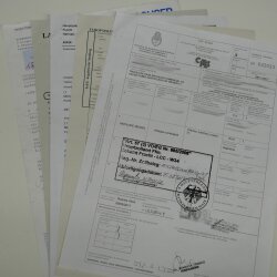 Hirschziegenantilope Ziegen Ziege Kopfpräparat Kopf Gehörn Antilope