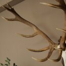 Rothirschgeweih ungerader 14 ender Hirsch Höhe 115 cm Hirschgeweih Geweih auf geschnitztem Trophäenschild