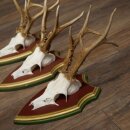 Rehgeweihe 3 Stück Rehböcke Reh Bock Geweihe auf ZIRBENHOLZ Trophäenschildern 22.1366