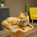 Fox Red fox sitting on decorative plate Taxidermy...