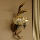 Wandlampe Wandleuchte Lampe Geweih Rothirschstange...