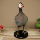 Perlhuhn Huhn Perl Präparat Ganzpräparat präpariert Vogel Deko frei handelbar #.2