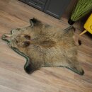 Wild boar skin Boar skin Wild boar Rind Pig rind Rug Length 180 cm 87.6.41