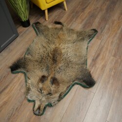 Wild boar skin Boar skin Wild boar Rind Pig rind Rug Length 180 cm 87.6.41