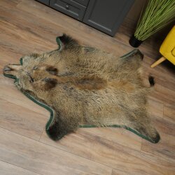 Wild boar skin Boar skin Wild boar Rind Pig rind Rug Length 180 cm 87.6.41