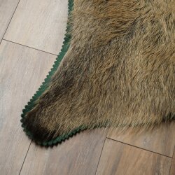 Wild boar skin Boar skin Wild boar Rind Pig rind Rug Length 180 cm 87.6.41