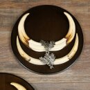 Warzenschwein 3er Set Waffen Hauer max. 27 cm Keiler Gewaff Afrika Schild 88.15.75