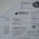 Testa di zebra – Preparato di testa di zebra...