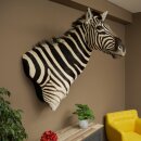 Testa di zebra – Preparato di testa di zebra Hartmann con autorizzazione alla vendita 87.100.23