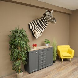 Testa di zebra – Preparato di testa di zebra Hartmann con autorizzazione alla vendita 87.100.23