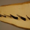 Geweih Garderobe mit 7 Hirschspitzen Haken auf Holzbrett Rehgeweih Wandgarderobe Unikat 27.8.124
