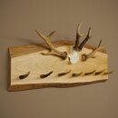 Porte-manteau en bois avec 7 pointes de cerf, 2 barres de chevreuil et des crochets, sur une planche en bois. Porte-manteau mural en bois de chevreuil, pièce unique 27.8.125