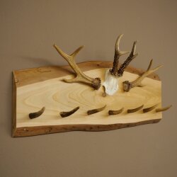 Porte-manteau en bois avec 7 pointes de cerf, 2 barres de chevreuil et des crochets, sur une planche en bois. Porte-manteau mural en bois de chevreuil, pièce unique 27.8.125