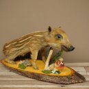 Jeune sanglier entier, hauteur 32 cm, debout, cochon,...