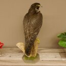Faucon gerfaut avec une gélinotte des bois comme proie - Faucon empaillé - Taxidermie - Autorisation de vente