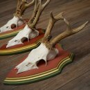 Rehgeweihe 3 Stück Rehböcke Reh 1 Bock HL 24 cm Geweihe auf ZIRBENHOLZ Trophäenschildern 22.1375