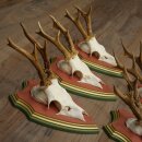 Reehoorns 20 stuks reebokken Reebokkenhoorns gesneden trofeeënborden 22.1350