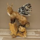 Wolpertinger martora con cervo intestinale Stange Wolpi Preparato corna di capriolo e denti Altezza 47 cm 86.10.19