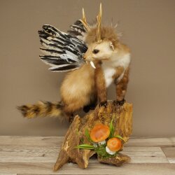 Wolpertinger martora con cervo intestinale Stange Wolpi Preparato corna di capriolo e denti Altezza 47 cm 86.10.19