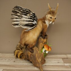 Wolpertinger martora con cervo intestinale Stange Wolpi Preparato corna di capriolo e denti Altezza 47 cm 86.10.19