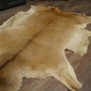 Rothirsch Fell Länge 160 cm Hirsch Hirschfell Vorleger Deko Teppich 87.3.40