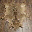 Warzenschwein Fell Haut Vorleger Länge 149 cm...