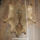 Warzenschwein Fell Haut Vorleger Länge 149 cm...