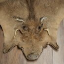 Tappeto in pelle di facocero, lunghezza 149 cm, tappeto africano in pelle di maiale