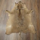 Tappeto in pelle di facocero, lunghezza 149 cm, tappeto africano in pelle di maiale