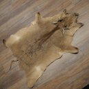 Tappeto in pelle di facocero, lunghezza 149 cm, tappeto africano in pelle di maiale