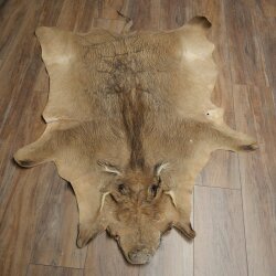 Tappeto in pelle di facocero, lunghezza 149 cm, tappeto africano in pelle di maiale