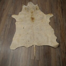 Tappeto in pelle di facocero, lunghezza 149 cm, tappeto africano in pelle di maiale