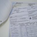 Berenbaviaan Baboon Schedel Aap Lengte 22 cm Baviaan met certificaat van herkomst