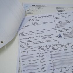 Berenbaviaan Baboon Schedel Aap Lengte 22 cm Baviaan met certificaat van herkomst