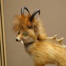 Wolpertinger Wolpi Fuchs mit Gamshörnern Drachenfuchs grüner Schwanz Präparat Fabelwesen
