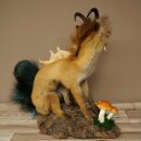 Wolpertinger Wolpi Fuchs mit Gamshörnern Drachenfuchs grüner Schwanz Präparat Fabelwesen