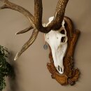 Rothirschgeweih abnormer ung. 14 ender Hirsch Medaille bronzefarben Höhe 118 cm Hirschgeweih Geweih auf geschnitztem Trophäenschild #66