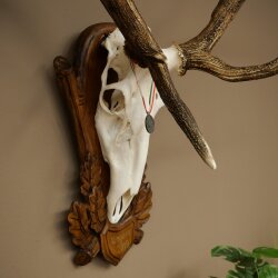 Rothirschgeweih abnormer ung. 14 ender Hirsch Medaille bronzefarben Höhe 118 cm Hirschgeweih Geweih auf geschnitztem Trophäenschild #66