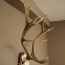 Rothirschgeweih 14 ender Hirsch Höhe 104 cm Hirschgeweih Geweih auf geschnitztem Trophäenschild #67