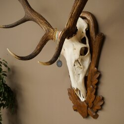 Rothirschgeweih ung. 12 ender Hirsch Medaille bronzefarben Höhe 130 cm Hirschgeweih Geweih auf geschnitztem Trophäenschild #69