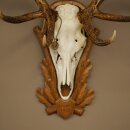 Rothirschgeweih 12 ender Hirsch Medaille bronzefarben Höhe 127 cm Hirschgeweih Geweih auf geschnitztem Trophäenschild #74
