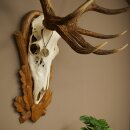Rothirschgeweih 12 ender Hirsch Medaille bronzefarben Höhe 127 cm Hirschgeweih Geweih auf geschnitztem Trophäenschild #74