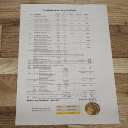 Rothirschgeweih 14 ender Hirsch Medaille Gold CIC 213,71 IP Höhe 140 cm Hirschgeweih Geweih auf geschnitztem Trophäenschild #75