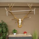 Roodhertengewei 6 eindhert hoogte 59 cm hertengewei gewei gesneden trofeeplaat 70.1031