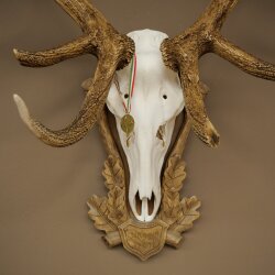 Rothirschgeweih ung. 16 ender Hirsch Höhe 118 cm Hirschgeweih Geweih auf geschnitztem Trophäenschild #84