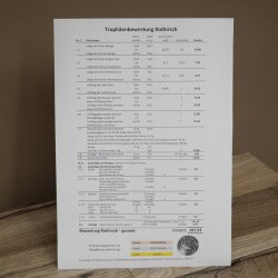 Corna di cervo rosso 6 punte Altezza 59 cm Corna di cervo Trofeo intagliato 70.1031