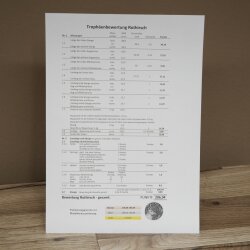 Rothirschgeweih ung. 16 ender Medaille silberfarben Hirsch Höhe 113 cm Hirschgeweih Geweih auf geschnitztem Trophäenschild #87